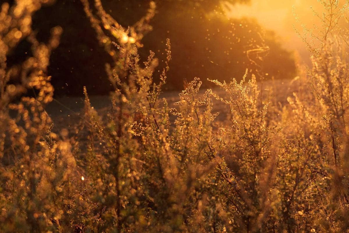 Bompai Business Centre 31 photo 4
