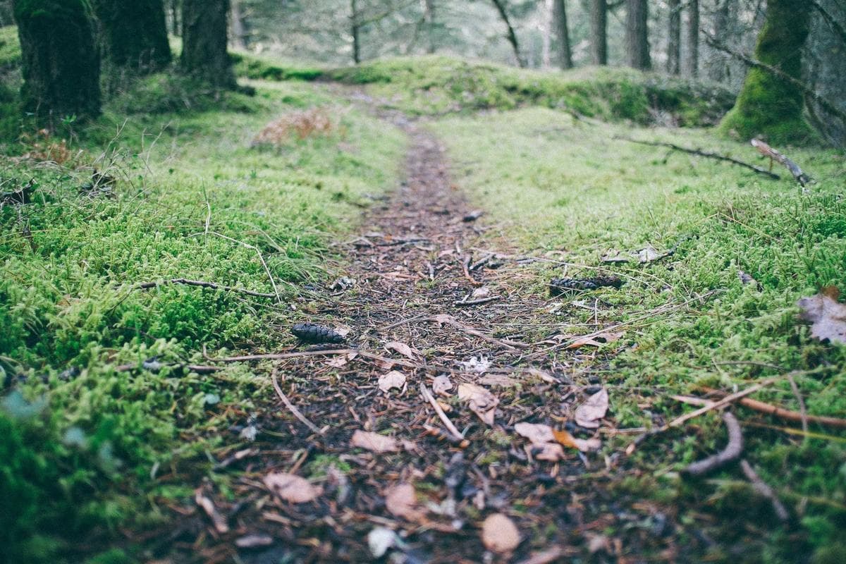 GRA Phase 2 Development Land 76 photo 5